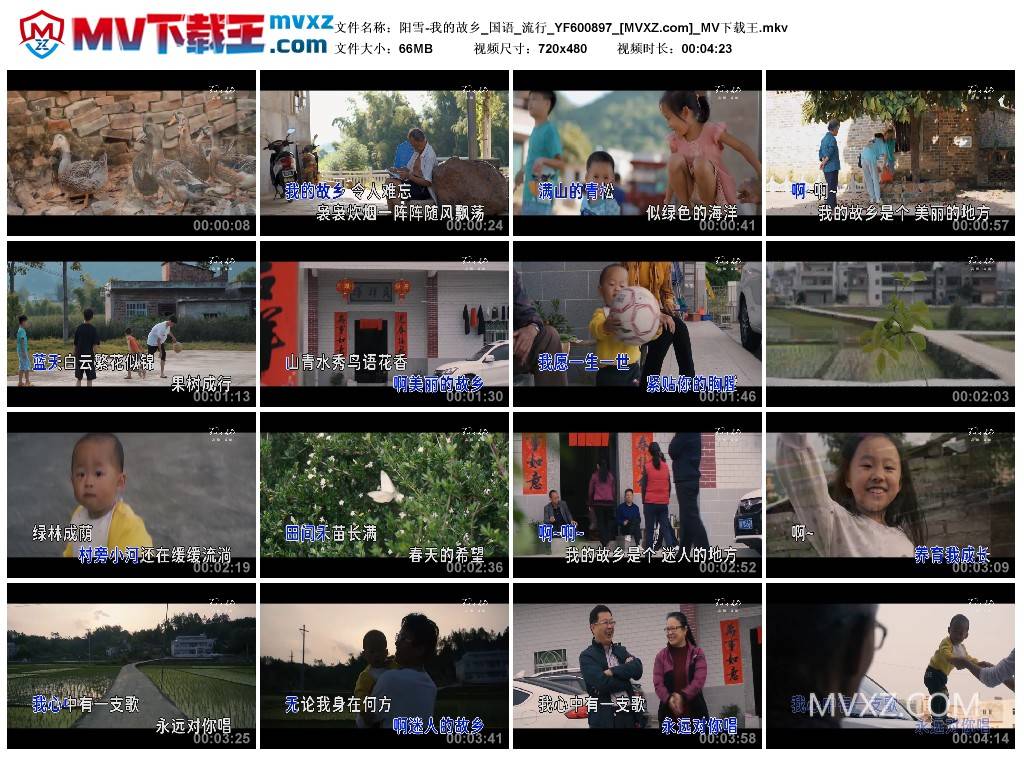 阳雪-我的故乡_国语_流行_YF600897